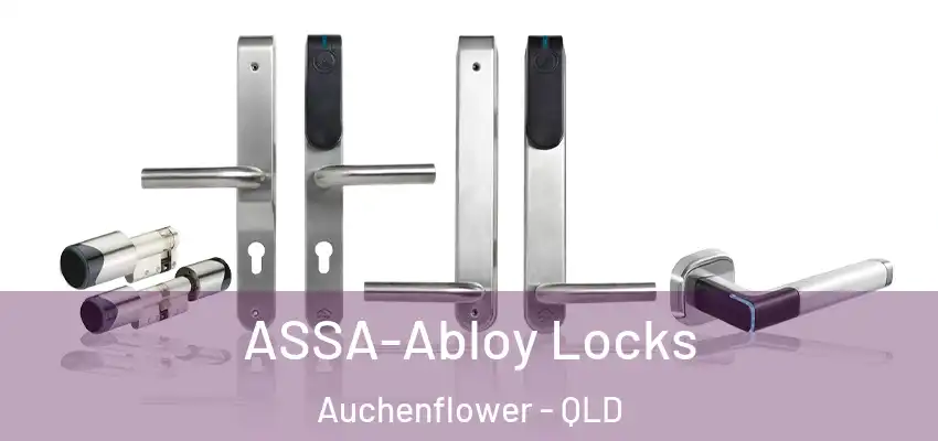  ASSA-Abloy Locks Auchenflower - QLD