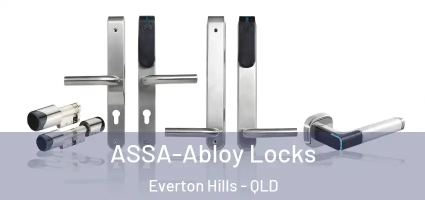  ASSA-Abloy Locks Everton Hills - QLD