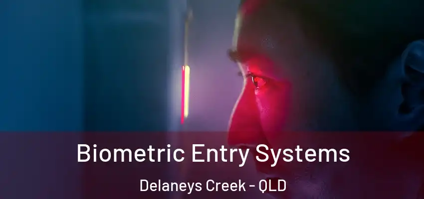  Biometric Entry Systems Delaneys Creek - QLD