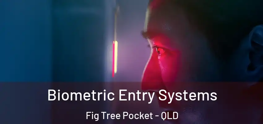  Biometric Entry Systems Fig Tree Pocket - QLD