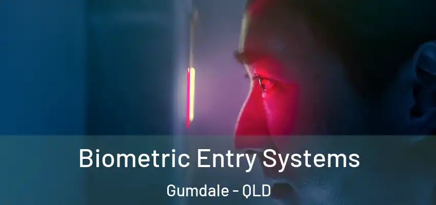 Biometric Entry Systems Gumdale - QLD
