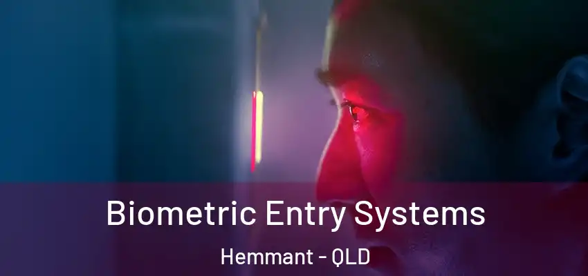 Biometric Entry Systems Hemmant - QLD