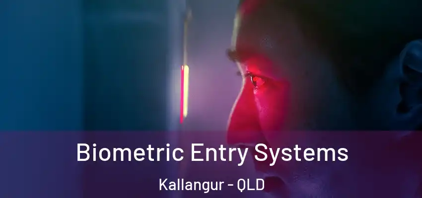  Biometric Entry Systems Kallangur - QLD
