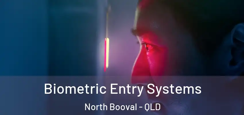Biometric Entry Systems North Booval - QLD