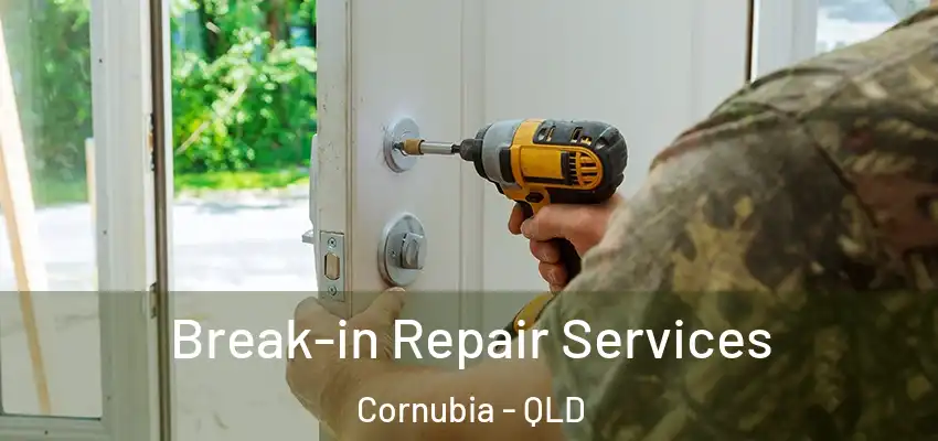 Break-in Repair Services Cornubia - QLD