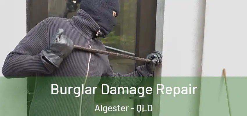  Burglar Damage Repair Algester - QLD