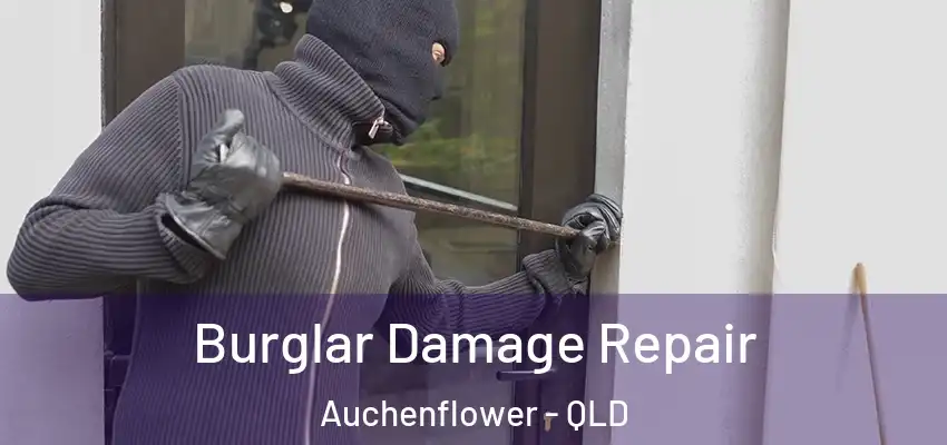  Burglar Damage Repair Auchenflower - QLD