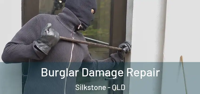  Burglar Damage Repair Silkstone - QLD