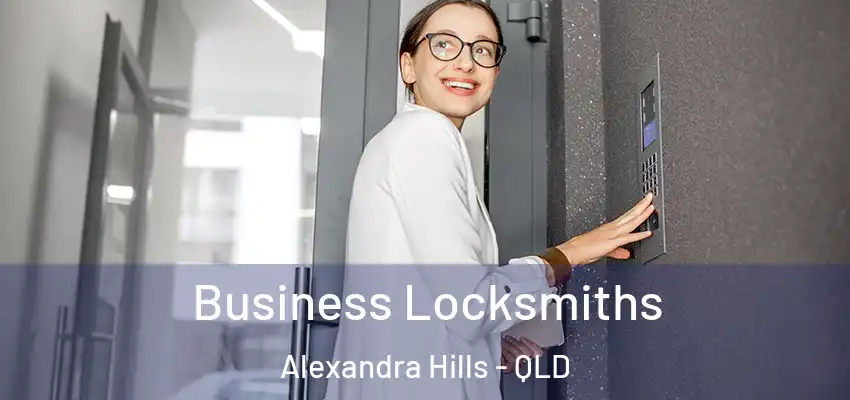  Business Locksmiths Alexandra Hills - QLD