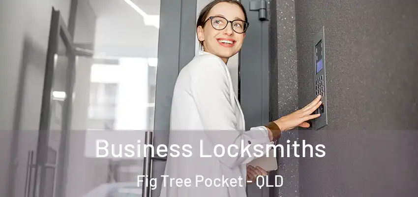  Business Locksmiths Fig Tree Pocket - QLD