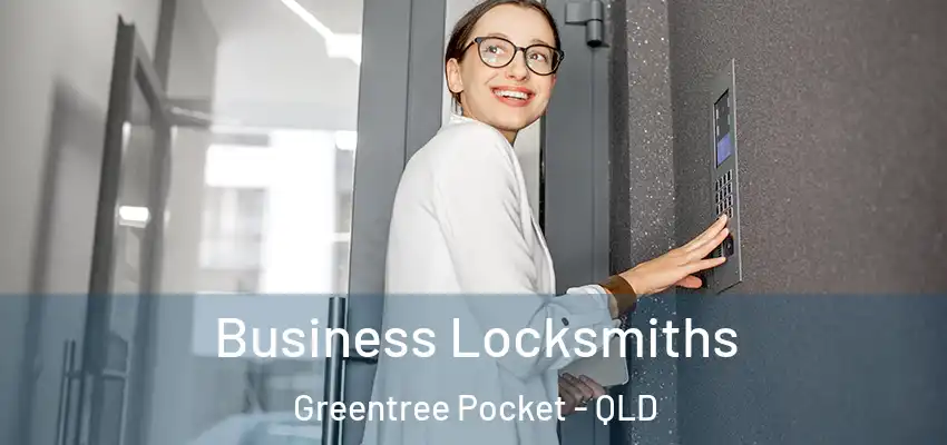 Business Locksmiths Greentree Pocket - QLD