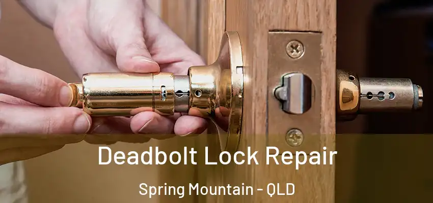  Deadbolt Lock Repair Spring Mountain - QLD
