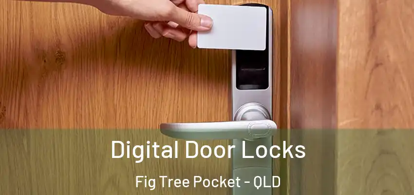  Digital Door Locks Fig Tree Pocket - QLD