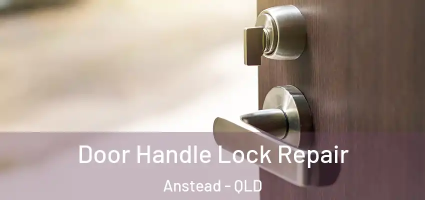 Door Handle Lock Repair Anstead - QLD
