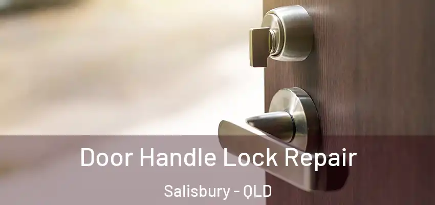  Door Handle Lock Repair Salisbury - QLD