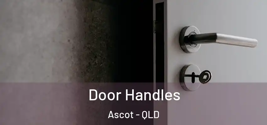  Door Handles Ascot - QLD