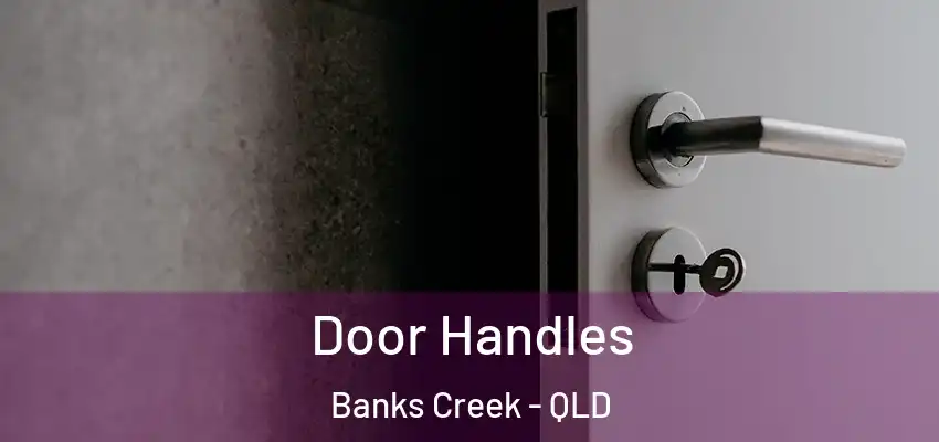  Door Handles Banks Creek - QLD