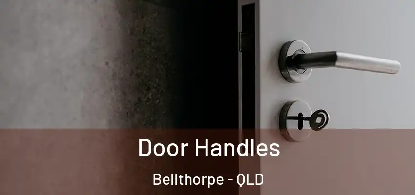  Door Handles Bellthorpe - QLD
