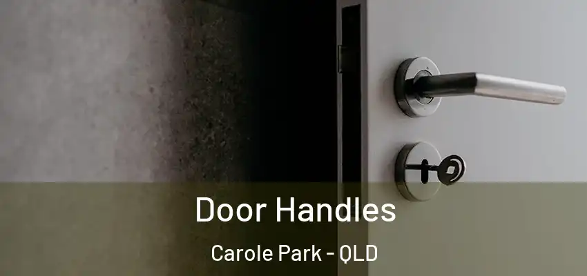 Door Handles Carole Park - QLD