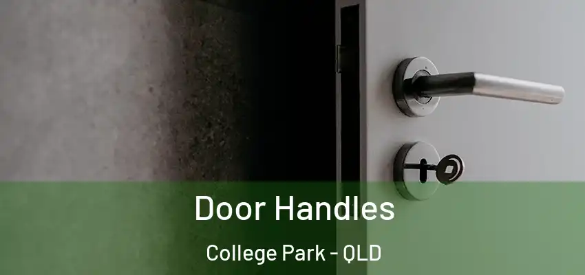  Door Handles College Park - QLD