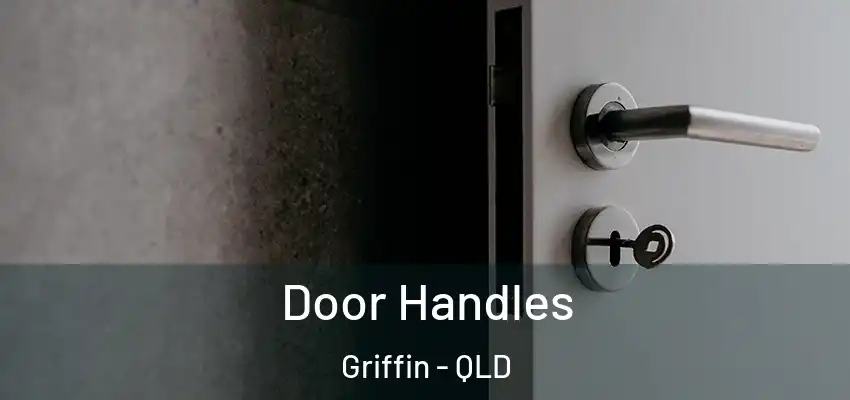  Door Handles Griffin - QLD
