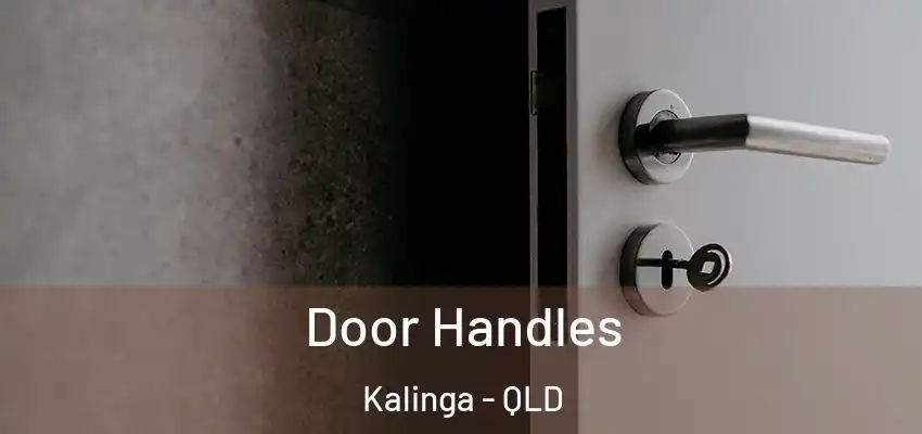  Door Handles Kalinga - QLD