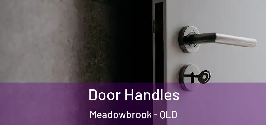  Door Handles Meadowbrook - QLD