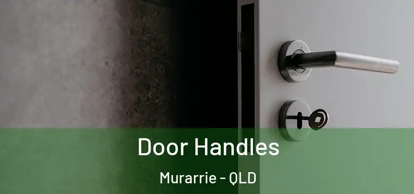  Door Handles Murarrie - QLD