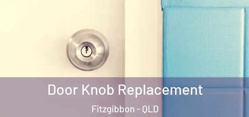 Door Knob Replacement Fitzgibbon - QLD