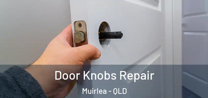  Door Knobs Repair Muirlea - QLD