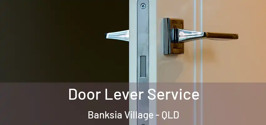 Door Lever Service Banksia Village - QLD