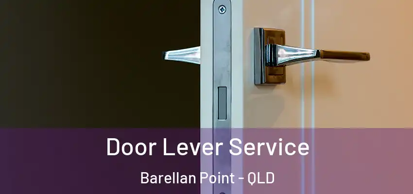  Door Lever Service Barellan Point - QLD