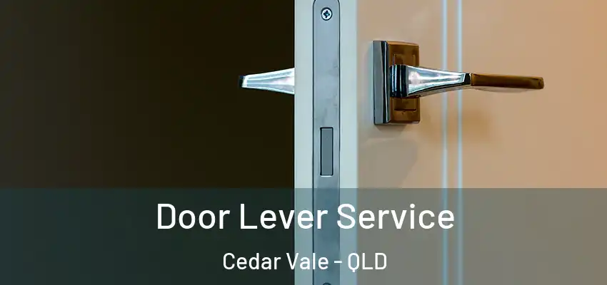  Door Lever Service Cedar Vale - QLD