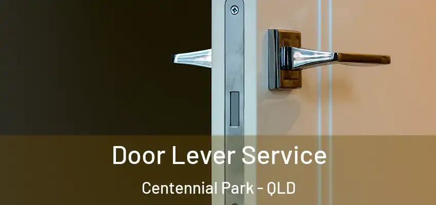  Door Lever Service Centennial Park - QLD