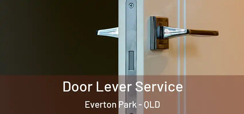  Door Lever Service Everton Park - QLD