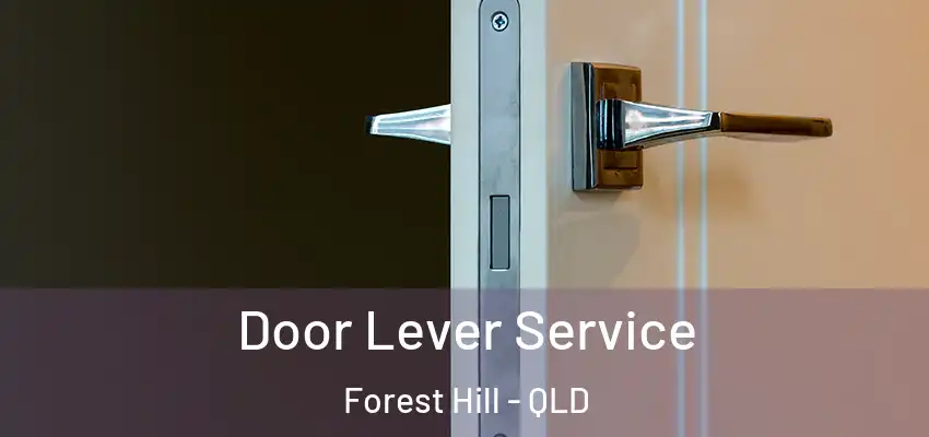  Door Lever Service Forest Hill - QLD