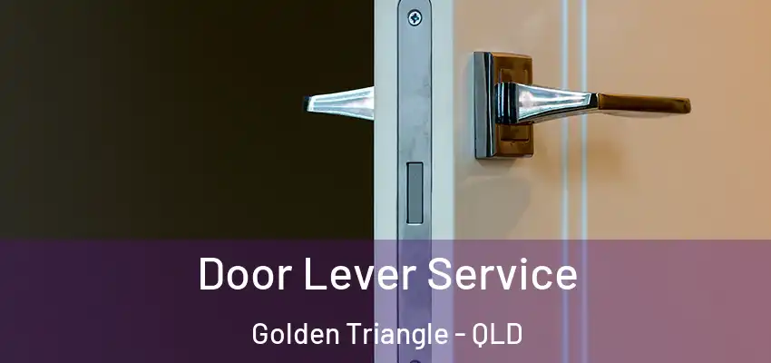  Door Lever Service Golden Triangle - QLD