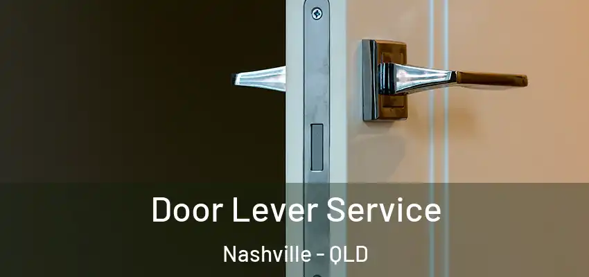  Door Lever Service Nashville - QLD