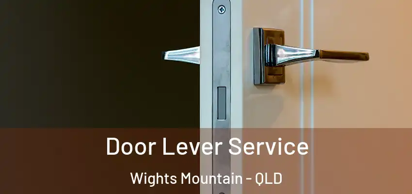 Door Lever Service Wights Mountain - QLD