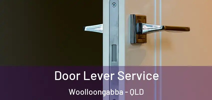  Door Lever Service Woolloongabba - QLD