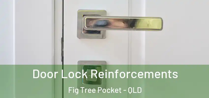 Door Lock Reinforcements Fig Tree Pocket - QLD