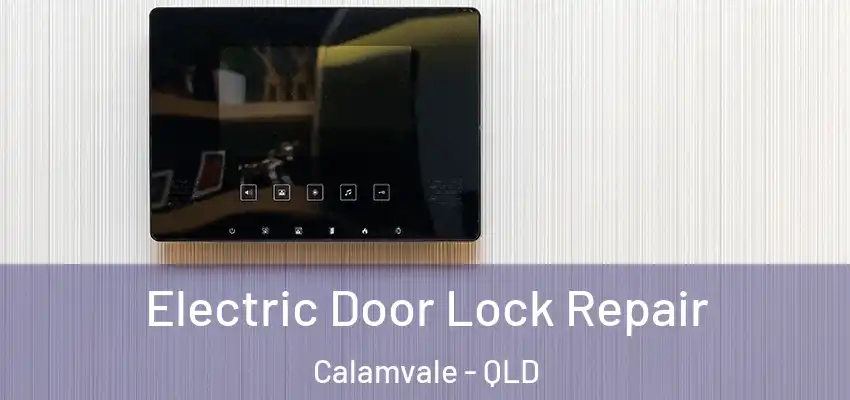  Electric Door Lock Repair Calamvale - QLD