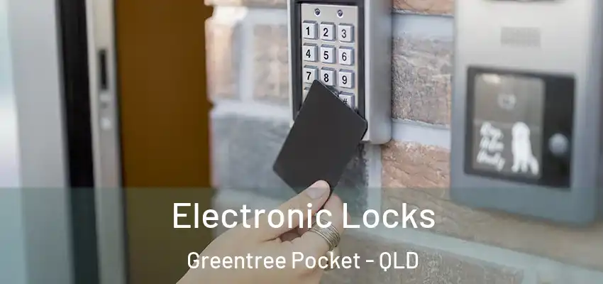  Electronic Locks Greentree Pocket - QLD