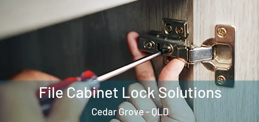  File Cabinet Lock Solutions Cedar Grove - QLD