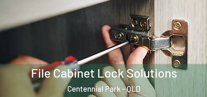  File Cabinet Lock Solutions Centennial Park - QLD