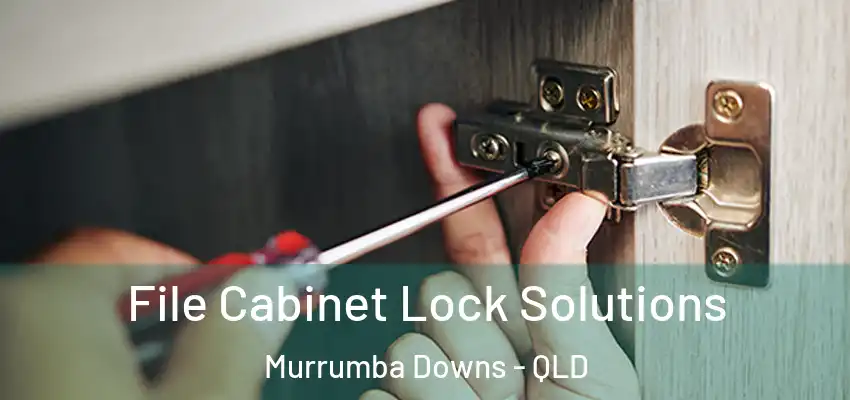  File Cabinet Lock Solutions Murrumba Downs - QLD