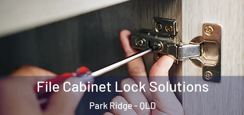 File Cabinet Lock Solutions Park Ridge - QLD