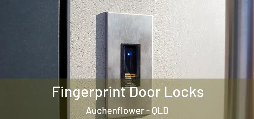 Fingerprint Door Locks Auchenflower - QLD