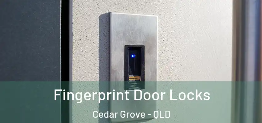  Fingerprint Door Locks Cedar Grove - QLD