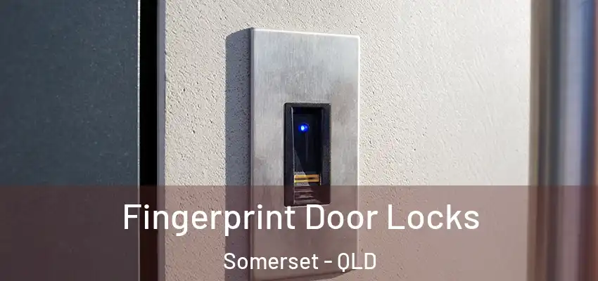 Fingerprint Door Locks Somerset - QLD